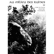 AU MILIEU DES RUINES #6 zine (FR)