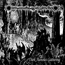 DARKWOODS MY BETROTHED (FI) - Dark Aureoles Gathering LP